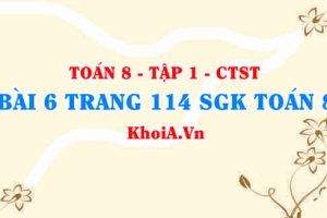 Bài 6 trang 114 SGK Toán 8 Tập 1 Chân trời sáng tạo